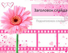 Розовый цветок и кинолента