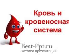 Скачать презентацию: Кровь и кровеносная система